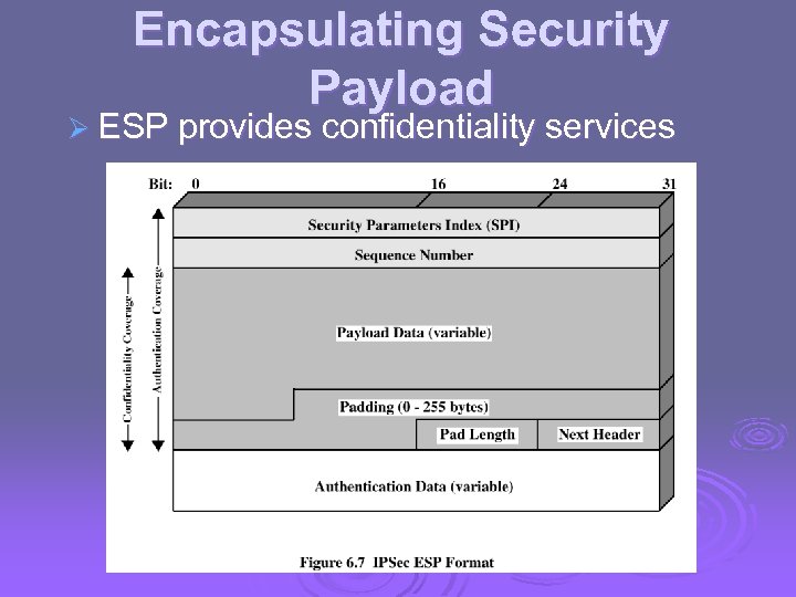 Encapsulating Security Payload Ø ESP provides confidentiality services 