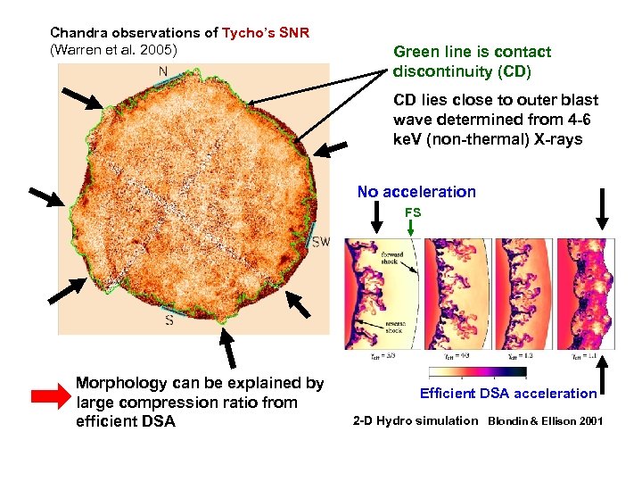 Chandra observations of Tycho’s SNR (Warren et al. 2005) Green line is contact discontinuity