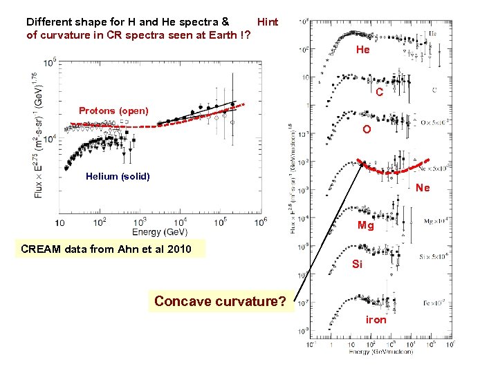 Different shape for H and He spectra & Hint of curvature in CR spectra