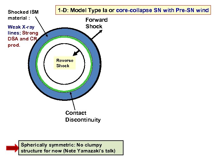 Shocked ISM material : 1 -D: Model Type Ia or core-collapse SN with Pre-SN