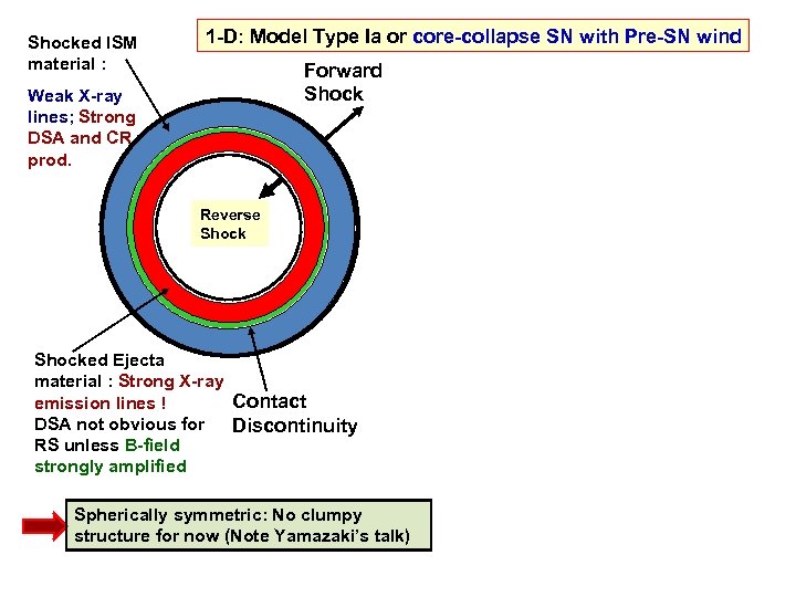 Shocked ISM material : 1 -D: Model Type Ia or core-collapse SN with Pre-SN