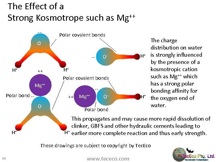 The Effect of a Strong Kosmotrope such as Mg++ -- Polar covalent bonds -H+