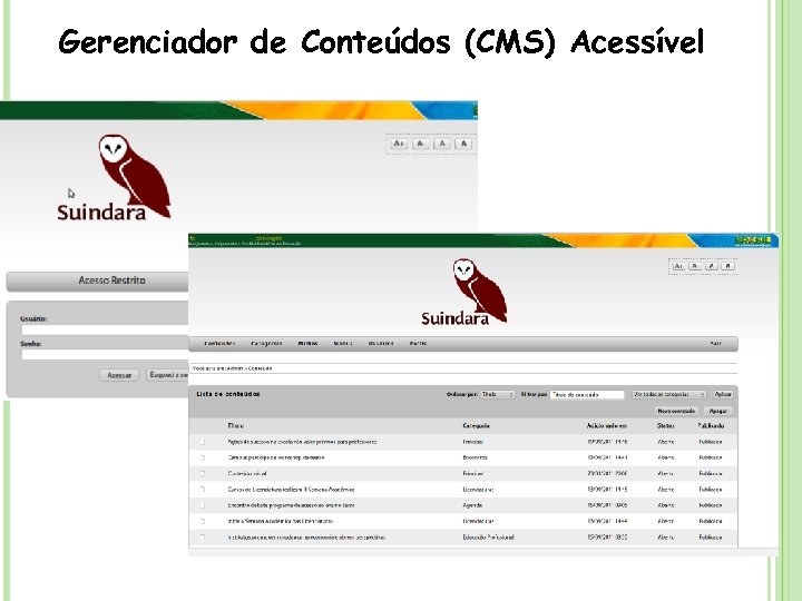 Gerenciador de Conteúdos (CMS) Acessível 