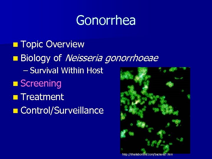 Gonorrhea n Topic Overview n Biology of Neisseria gonorrhoeae – Survival Within Host n