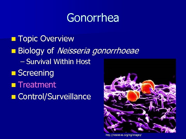 Gonorrhea n Topic Overview n Biology of Neisseria gonorrhoeae – Survival Within Host n