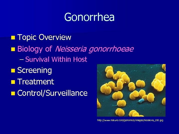 Gonorrhea n Topic Overview n Biology of Neisseria gonorrhoeae – Survival Within Host n