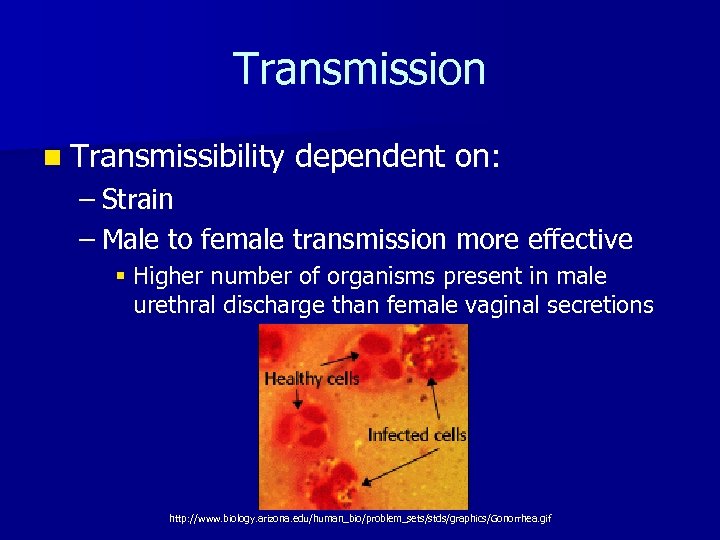 Transmission n Transmissibility dependent on: – Strain – Male to female transmission more effective
