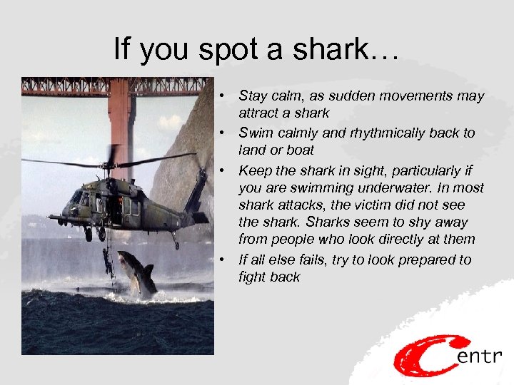 If you spot a shark… • Stay calm, as sudden movements may attract a