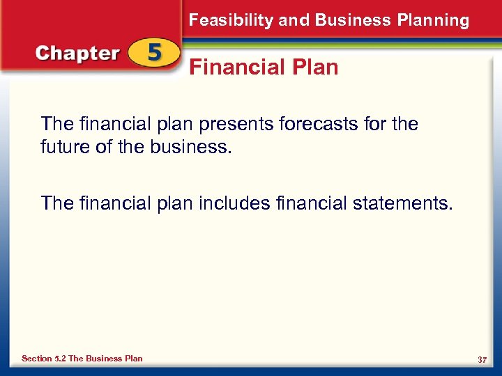 Feasibility and Business Planning Financial Plan The financial plan presents forecasts for the future