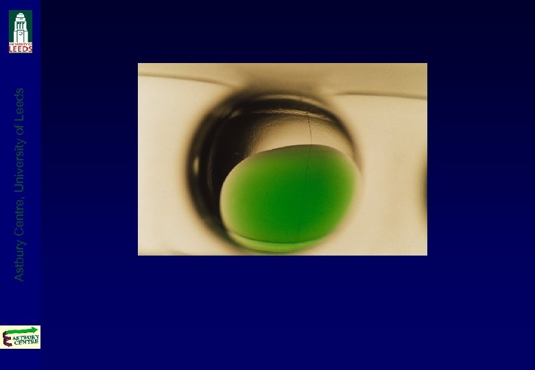 Astbury Centre, University of Leeds 