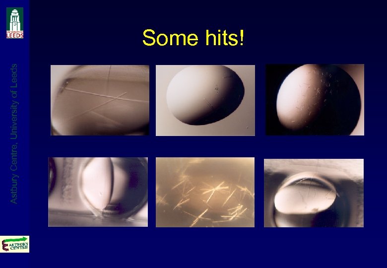 Astbury Centre, University of Leeds Some hits! 