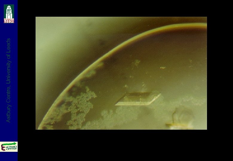 Astbury Centre, University of Leeds 