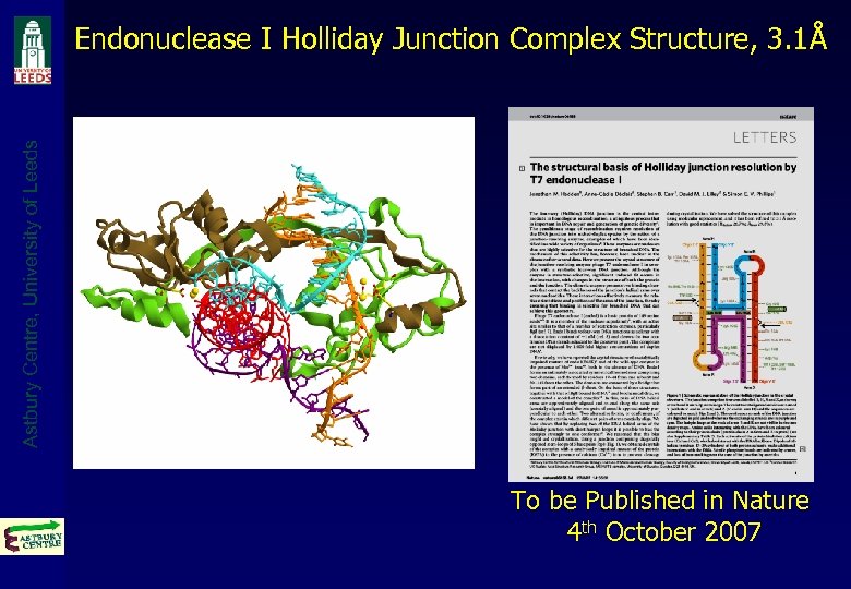 Astbury Centre, University of Leeds Endonuclease I Holliday Junction Complex Structure, 3. 1Å To