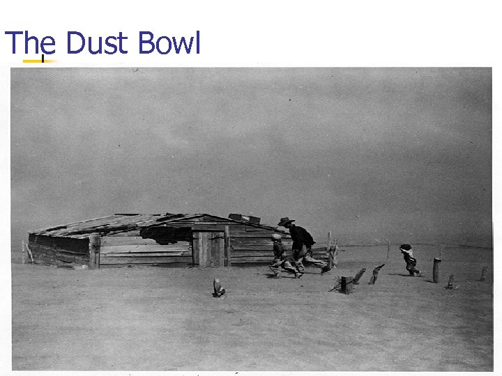 The Dust Bowl 