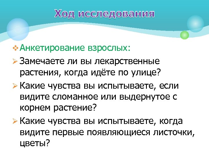 v Анкетирование взрослых: Ø Замечаете ли вы лекарственные растения, когда идёте по улице? Ø