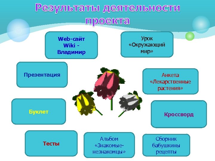 Вики владимир проекты