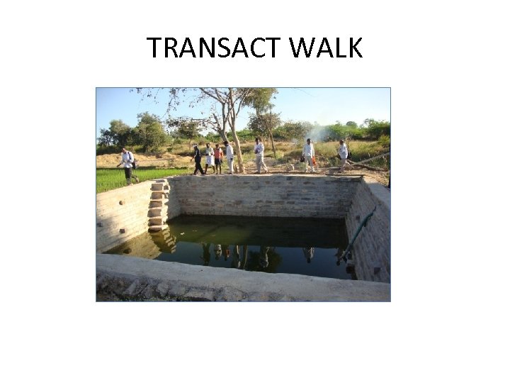 TRANSACT WALK 