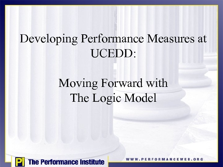 Developing Performance Measures at UCEDD: Moving Forward with The Logic Model 