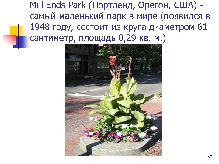 Mill Ends Park (Портленд, Орегон, США) самый маленький парк в мире (появился в 1948