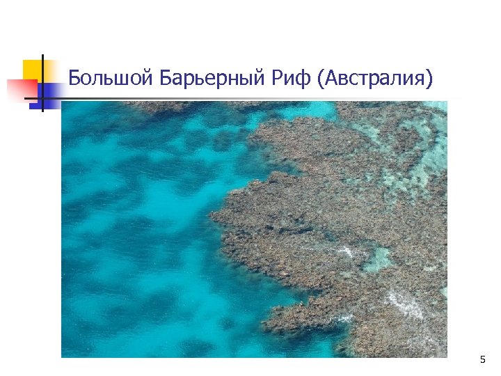 Большой Барьерный Риф (Австралия) 5 