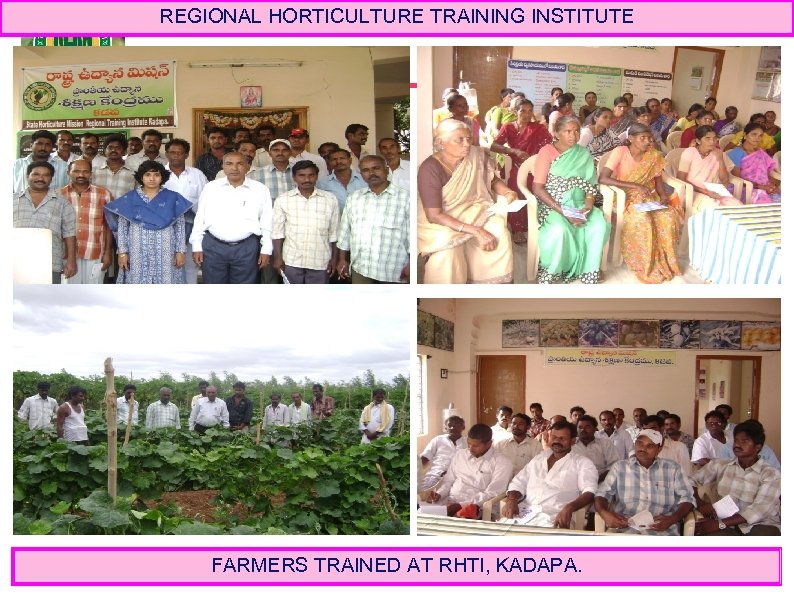 REGIONAL HORTICULTURE TRAINING INSTITUTE FARMERS TRAINED AT RHTI, KADAPA. 