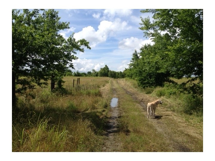 Yes the property is more than just a metal building or two and a