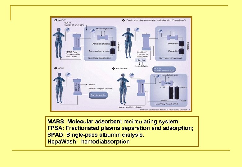 MARS: Molecular adsorbent recirculating system; FPSA: Fractionated plasma separation and adsorption; SPAD: Single-pass albumin