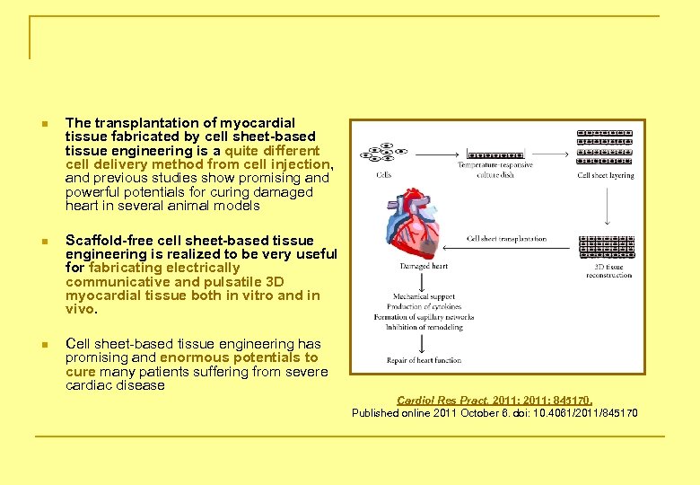 n The transplantation of myocardial tissue fabricated by cell sheet-based tissue engineering is a