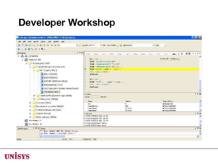 Developer Workshop 