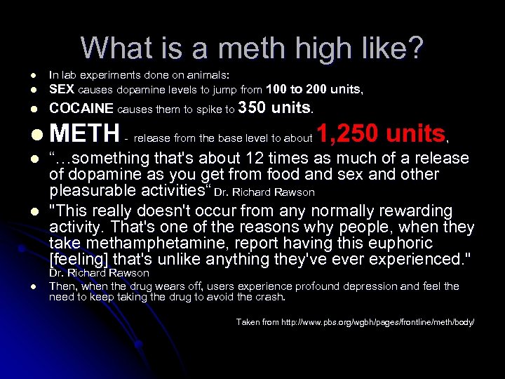 What is a meth high like? l In lab experiments done on animals: SEX