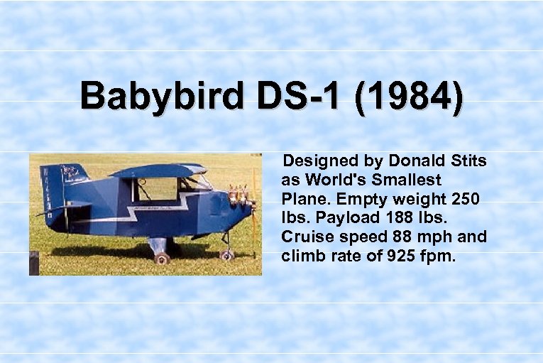 Babybird DS-1 (1984) Designed by Donald Stits as World's Smallest Plane. Empty weight 250