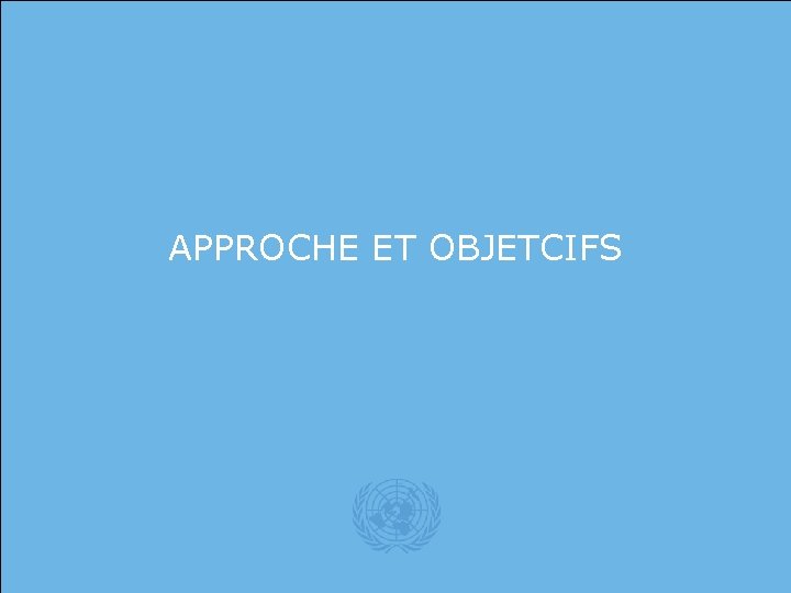 United Nations APPROCHE ET OBJETCIFS 