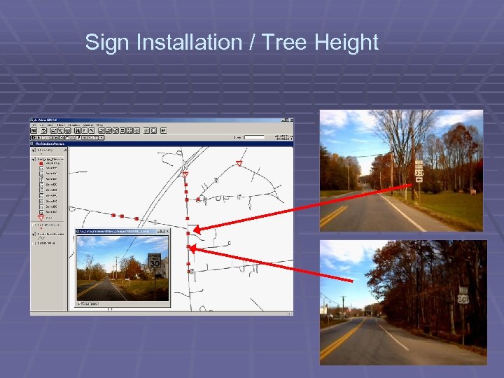 Sign Installation / Tree Height 