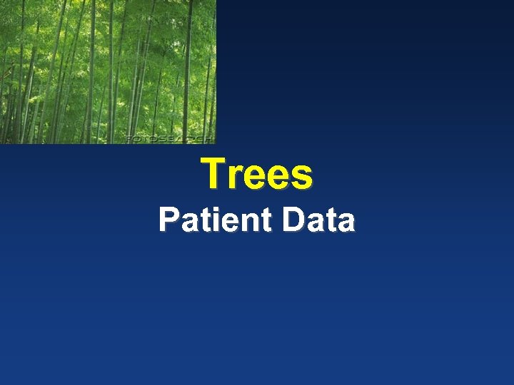 Trees Patient Data 
