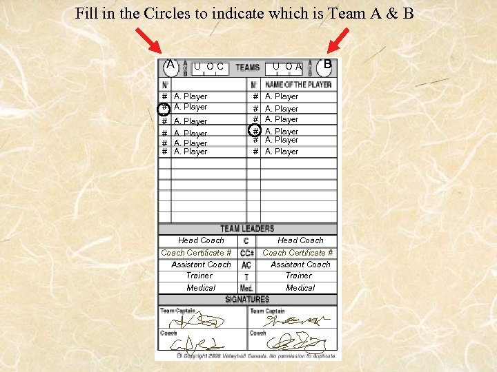 Fill in the Circles to indicate which is Team A & B A U