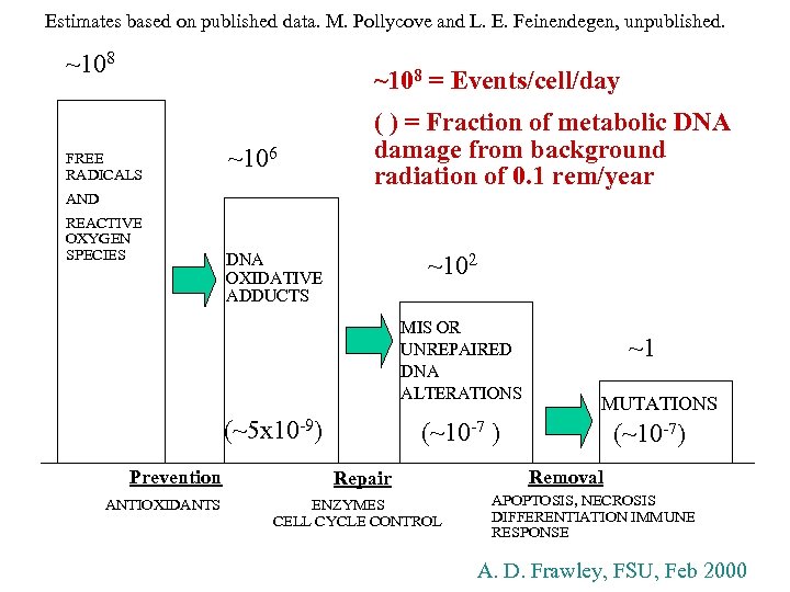 Estimates based on published data. M. Pollycove and L. E. Feinendegen, unpublished. ~108 =