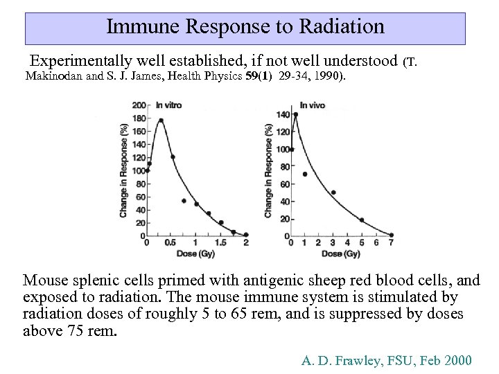 Immune Response to Radiation Experimentally well established, if not well understood (T. Makinodan and