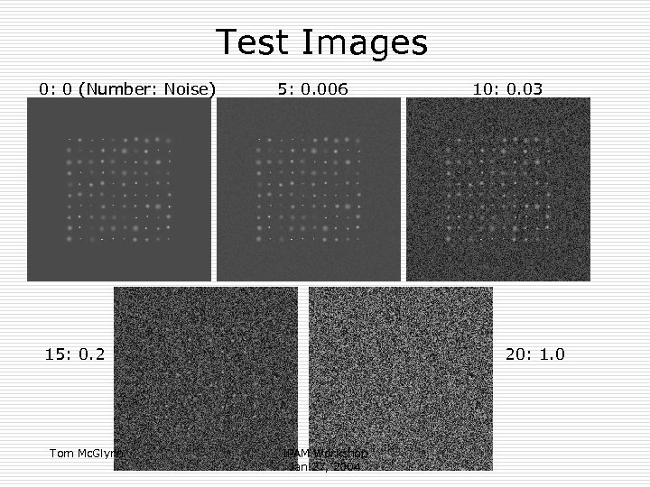 Test Images 0: 0 (Number: Noise) 5: 0. 006 15: 0. 2 Tom Mc.