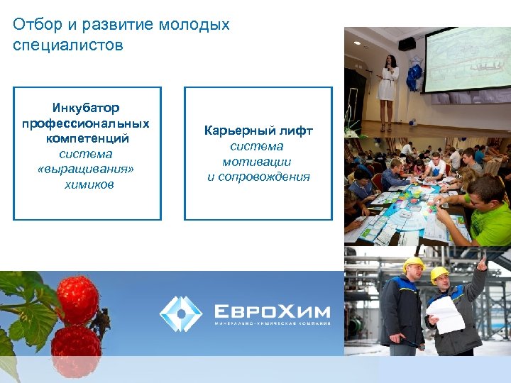 Отбор и развитие молодых специалистов Инкубатор профессиональных компетенций система «выращивания» химиков Карьерный лифт система