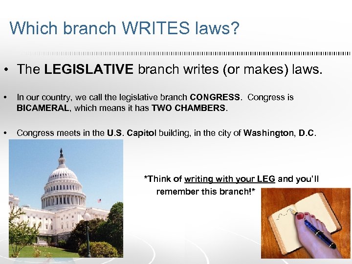 Which branch WRITES laws? • The LEGISLATIVE branch writes (or makes) laws. • In
