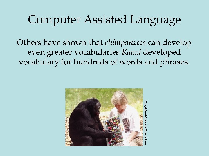 Computer Assisted Language Others have shown that chimpanzees can develop even greater vocabularies Kanzi