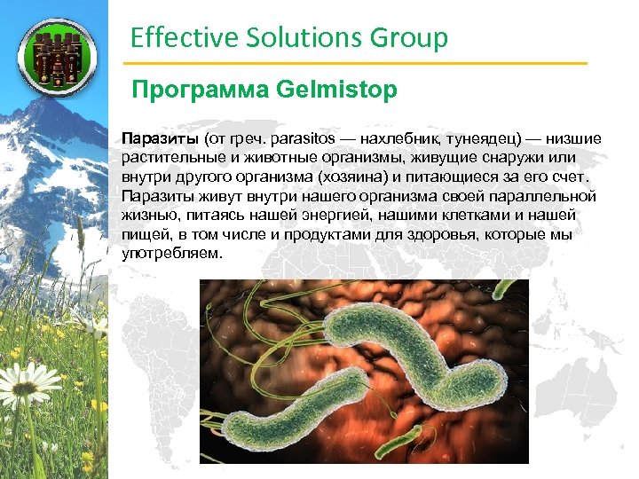 Effective Solutions Group Программа Gelmistop Паразиты (от греч. parasitos — нахлебник, тунеядец) — низшие