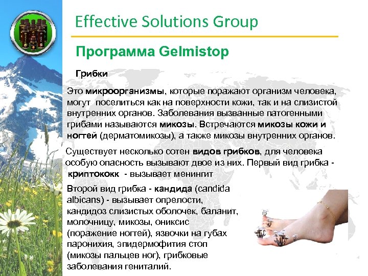 Effective Solutions Group Программа Gelmistop Грибки Это микроорганизмы, которые поражают организм человека, могут поселиться