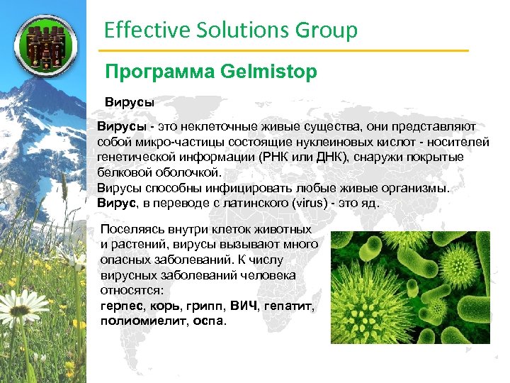 Effective Solutions Group Программа Gelmistop Вирусы - это неклеточные живые существа, они представляют собой