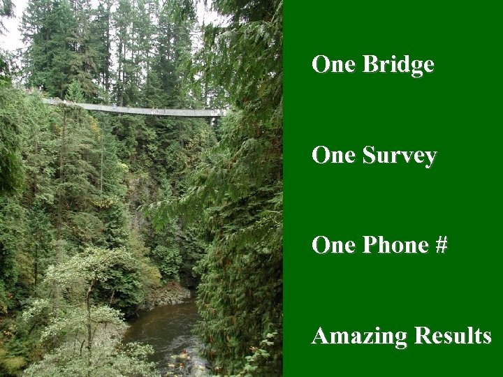 One Bridge One Survey One Phone # Amazing Results 