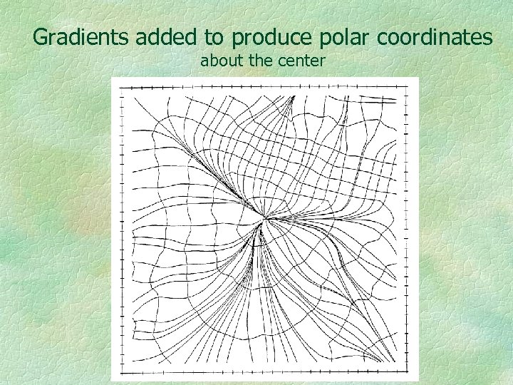 Gradients added to produce polar coordinates about the center 