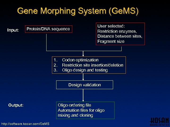 Gene Morphing System (Ge. MS) Input: Protein/DNA sequence 1. 2. 3. User selected: Restriction