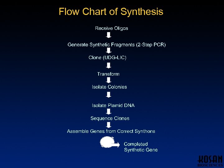 Flow Chart of Synthesis 