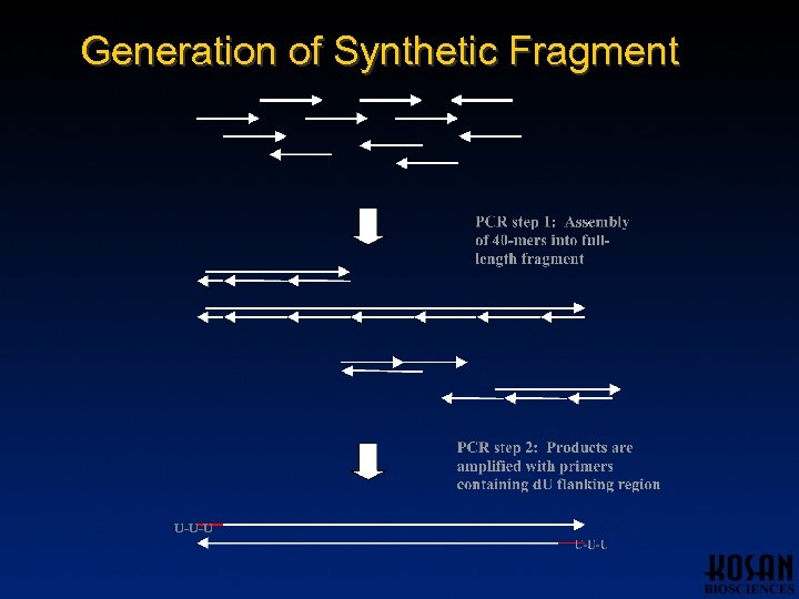 Generation of Synthetic Fragment U-U-U 