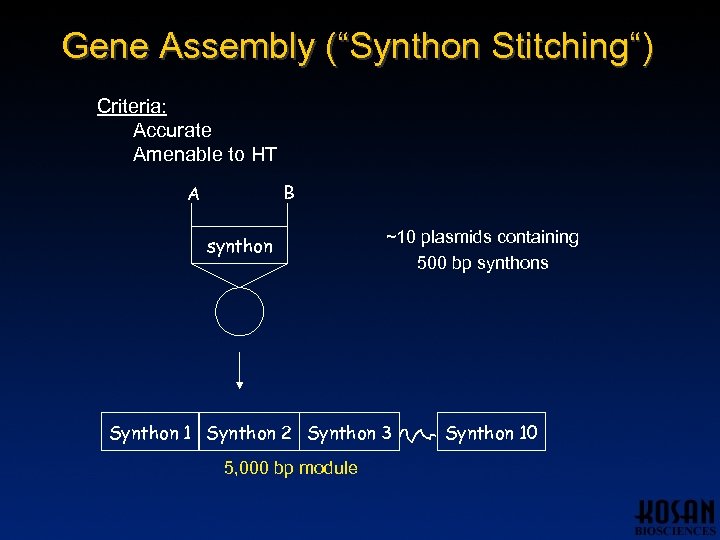 Gene Assembly (“Synthon Stitching“) Criteria: Accurate Amenable to HT B A synthon ~10 plasmids